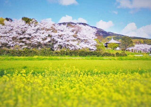 春休み 暇つぶし 2