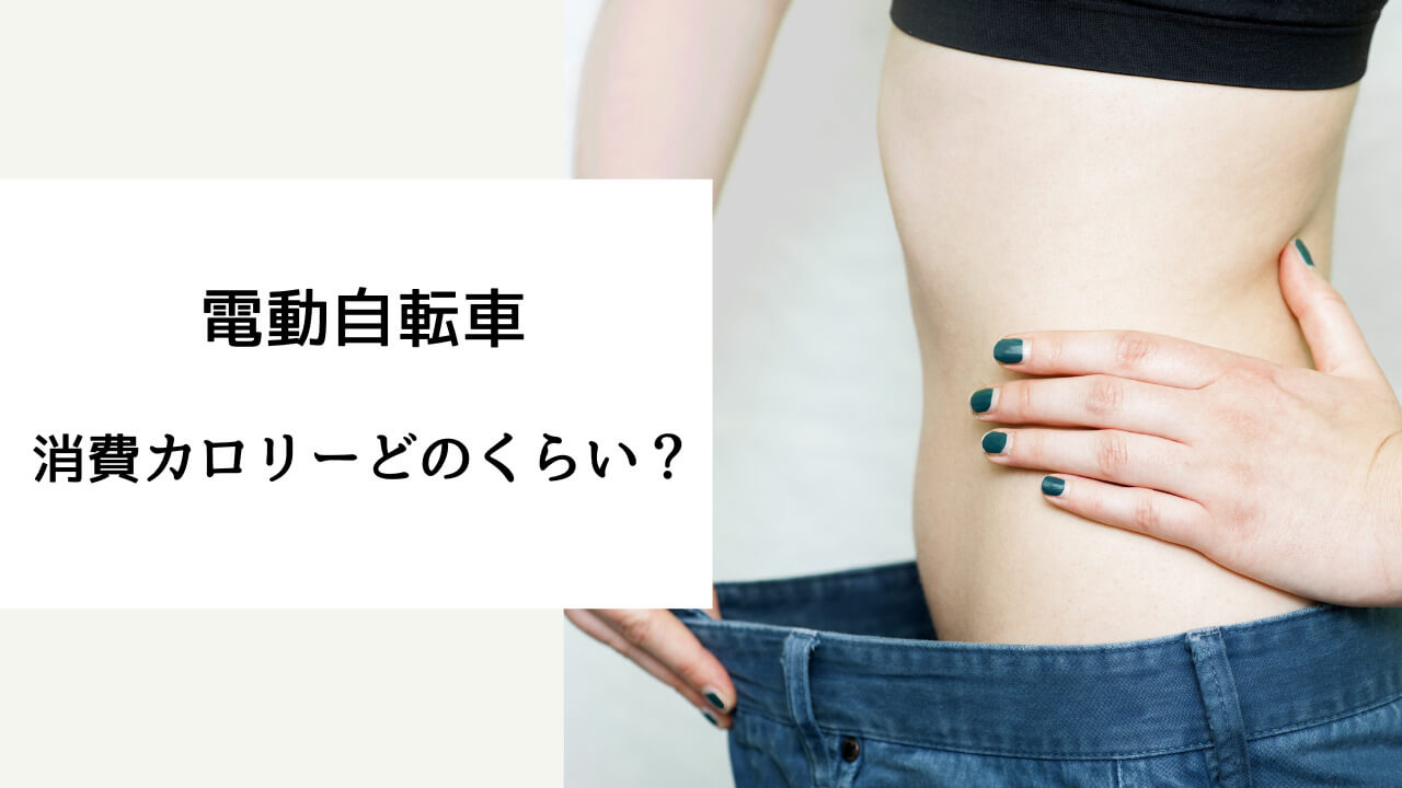 電動 自転車 消費カロリー