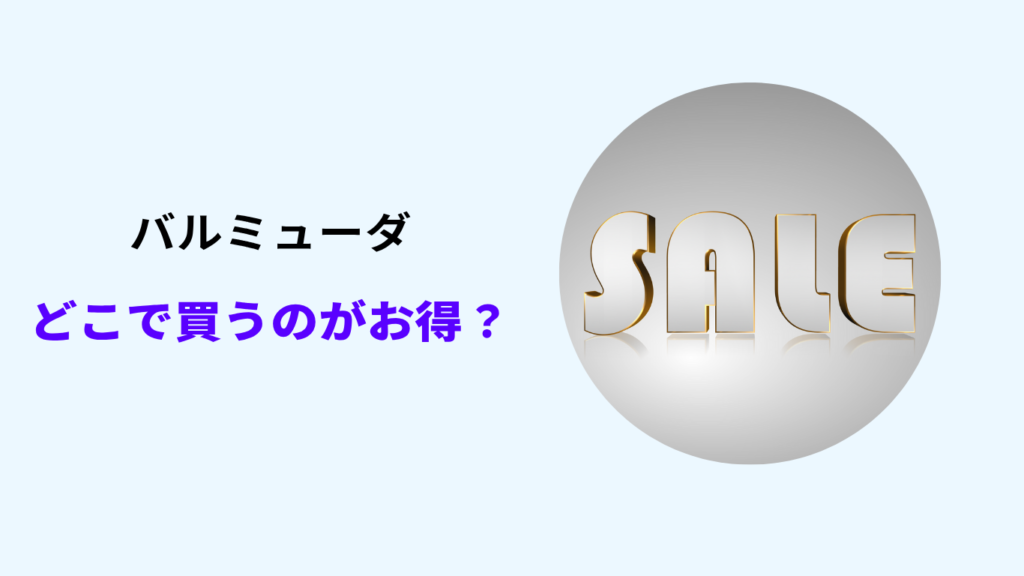 バルミューダ どこで買うのがお得